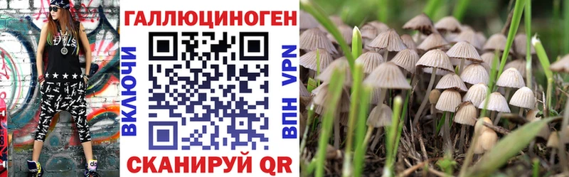 Псилоцибиновые грибы Magic Shrooms  где продают   Подпорожье 
